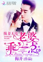 纵妻无度:老婆,乖一点! 小说