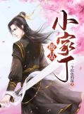 极品家丁29
