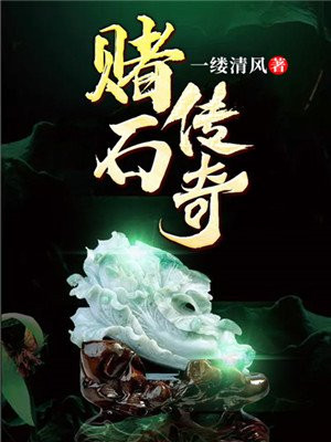 赌石传奇吴飞