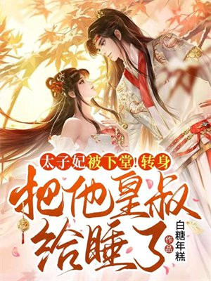 太子妃小说