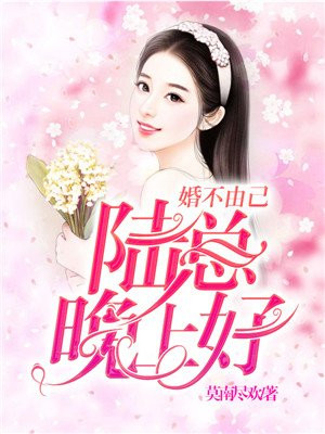 婚不由己陆总晚上好