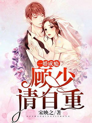 小说顾少一宠成瘾