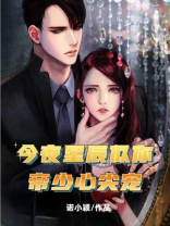 今夜星辰似你:帝少心尖宠 诺小颖