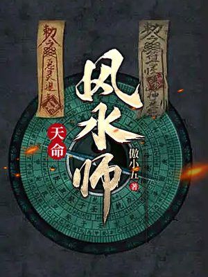 天命风水师小说
