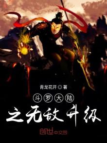给你们推荐一本:斗罗大陆之无敌升级