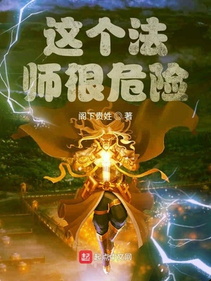 这个法师很危险下载