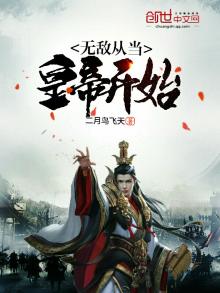 无敌从皇子开始卡夜阁