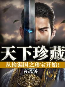 天下珍藏从捡漏国之珍宝开始 TXT