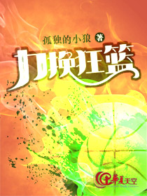 力挽狂篮破解版