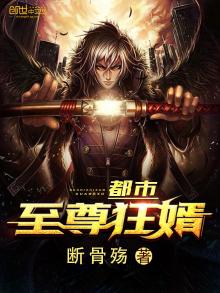 都市至尊狂婿下载