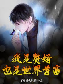 我是赘婿，也是世界首富