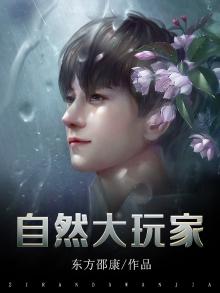 自然大玩家TXT下载免费阅读