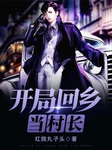 开局回乡当村长 小说