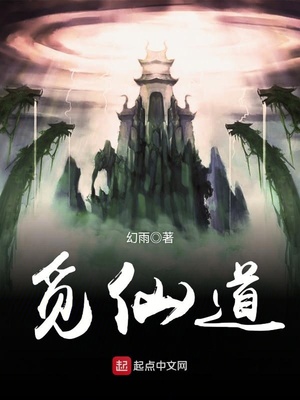 觅仙道全文免费阅读无弹窗