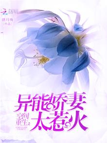 小说重生空间异能