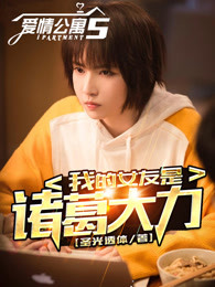 爱情公寓5:我的女友是诸葛大力免费