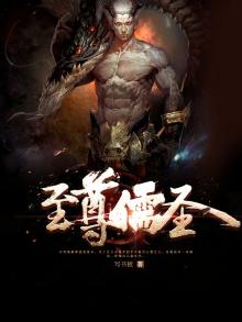 至尊儒圣沈辰免费阅读