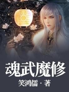 魂武双修介绍