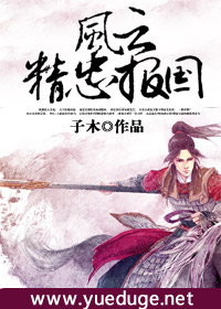 风云精忠报国