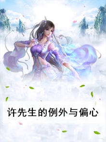 许先生是什么意思