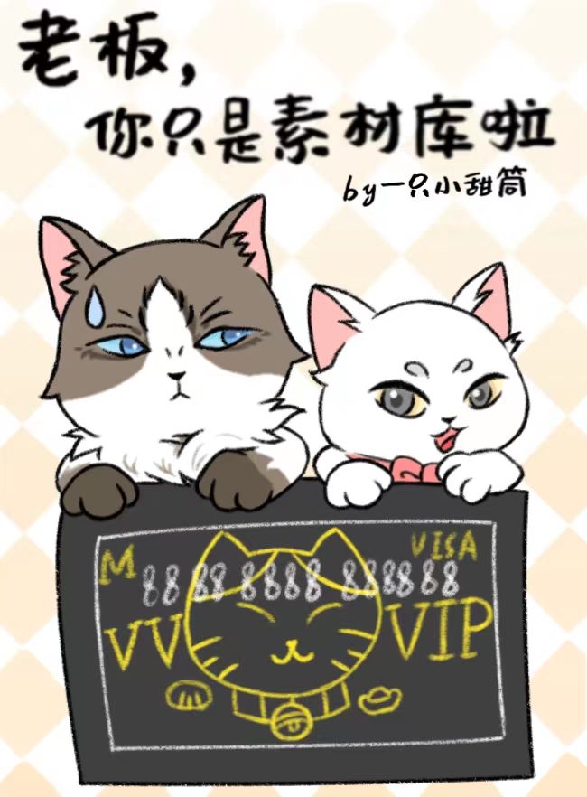 老板我只是个偷资料的