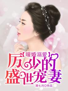 暖婚溺爱,厉少的盛世宠妻免费阅读