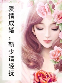 爱情成婚：靳少请轻抚