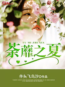 荼蘼小说免费阅读