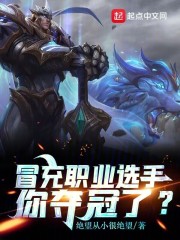 举报冒充职业选手