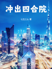 穿越四合院小说