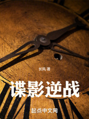谍影逆战小说笔趣阁