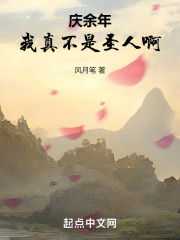 我真不是圣人 小说