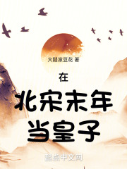 在北宋末年当皇子小说