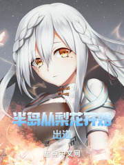 半岛从梨花开始出道 小说