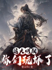 这大明被你们玩坏了txt