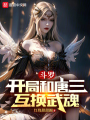 斗罗开局成为唐三的武魂