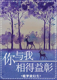 你与我相得益彰小说