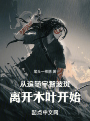 从追随宇智波斑离开木叶开始的小说