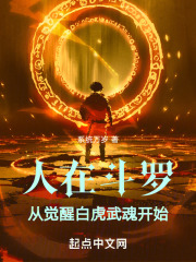 人在斗罗开局武魂五灵锁