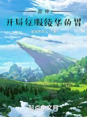 原神神里绫华对主角