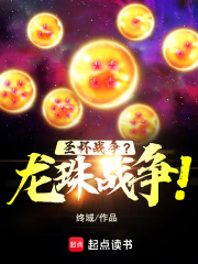 圣杯战争?龙珠战争!小说