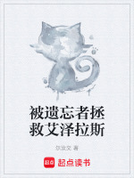 被遗忘者dk