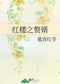 红楼之赘婿 慕容红苓