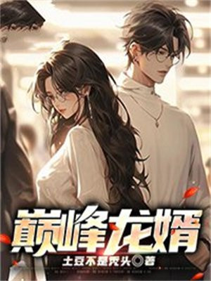 巅峰龙婿13-100集