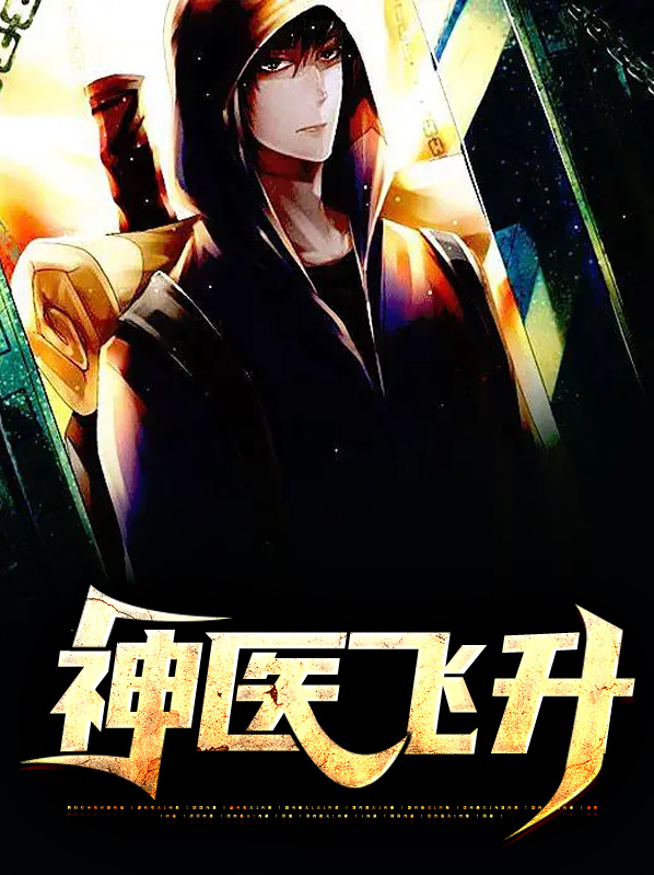 神医,叶飞
