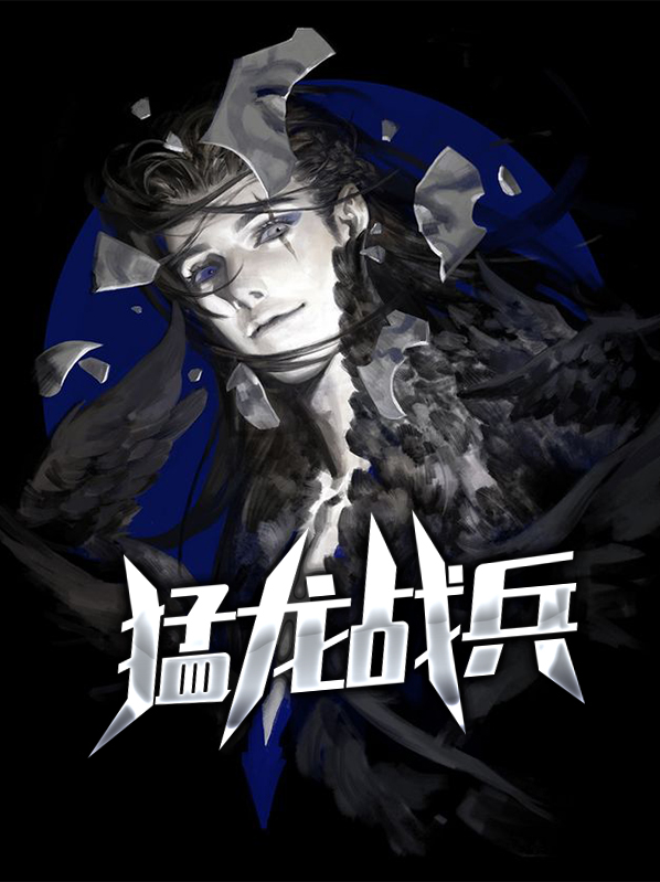 猛龙战队