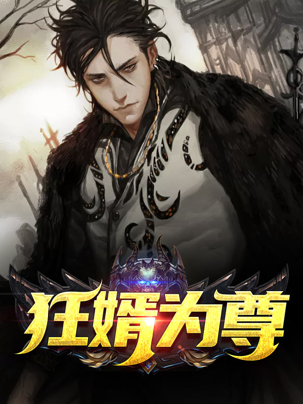 狂婿为王