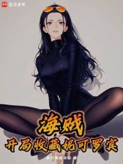 海贼之开局收了凯多