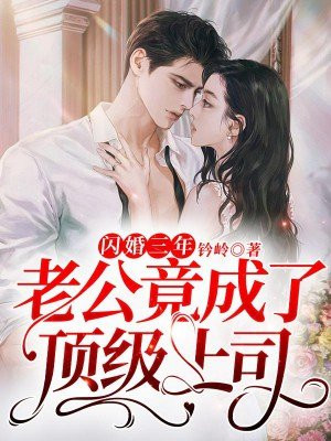 闪婚三年,老公竟成了顶级上司小说