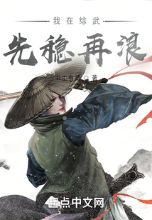 我在综武先稳再浪 小说123